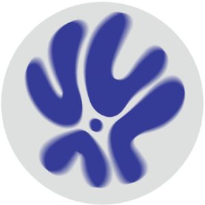 Matteo Point - Acid People EP